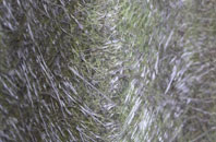 Limbury fibreglass roof work